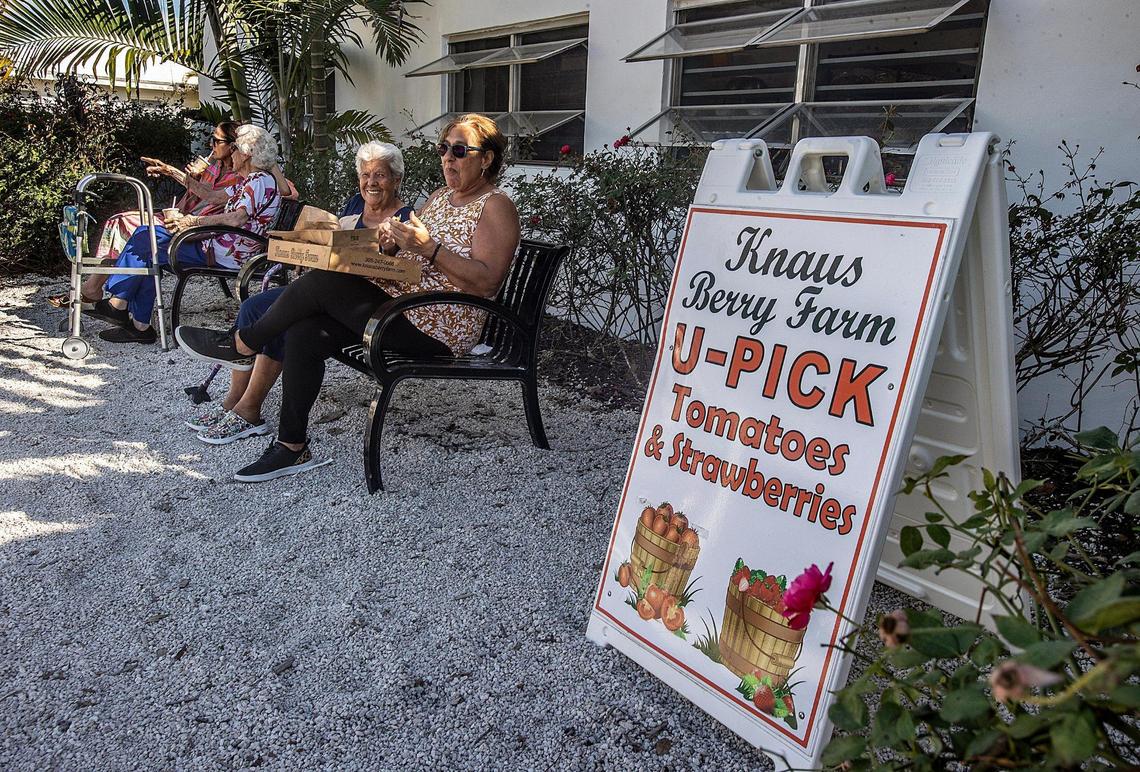 Customers of 20 years, Nora Pinger and Dora Lopez, enjoy eating the famous homemade cinnamon rolls at Knaus Berry Farm in Homestead.