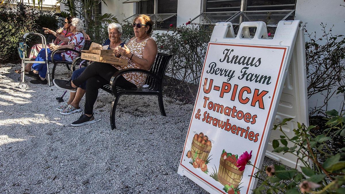 Customers of 20 years, Nora Pinger, right, and Dora Lopez, enjoy eating the famous homemade cinnamon rolls at Knaus Berry Farm in Homestead on Feb. 24, 2023. The business has been owned and operated by the Knaus family since 1956.