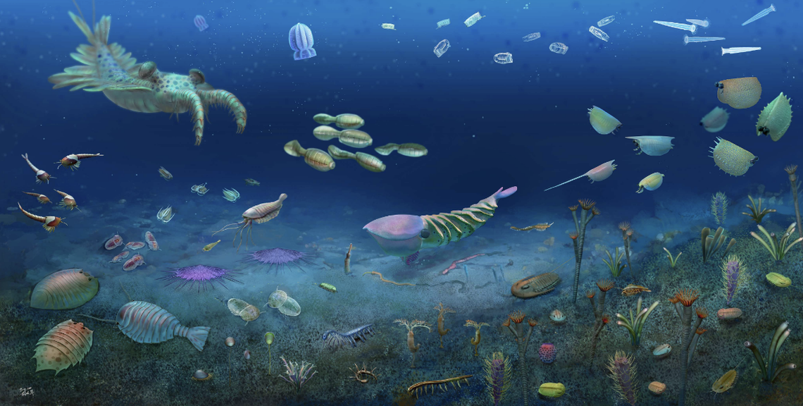 Han Zeng/www.nature.com