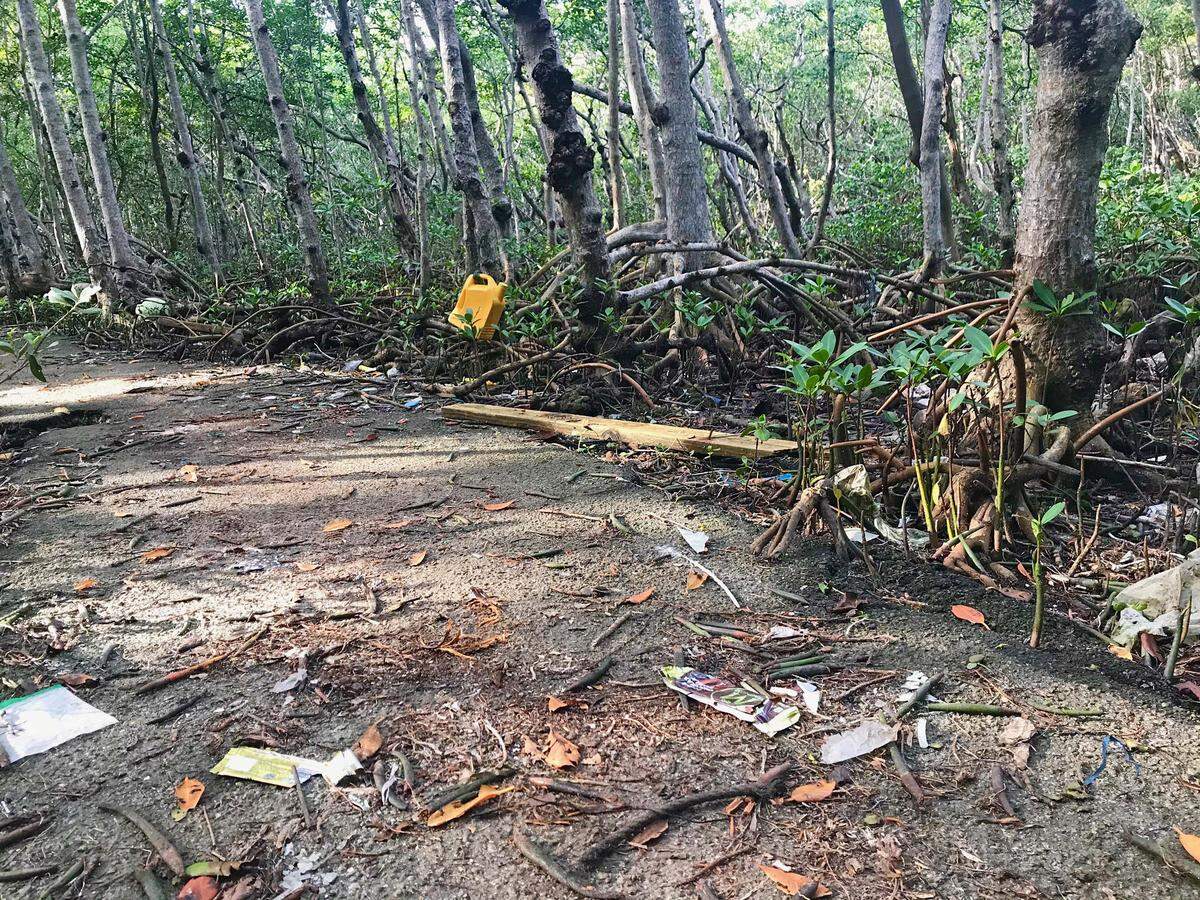 The washed out, frequently flooded mangrove forest path at Matheson Hammock Park is filled with washed-up debris.