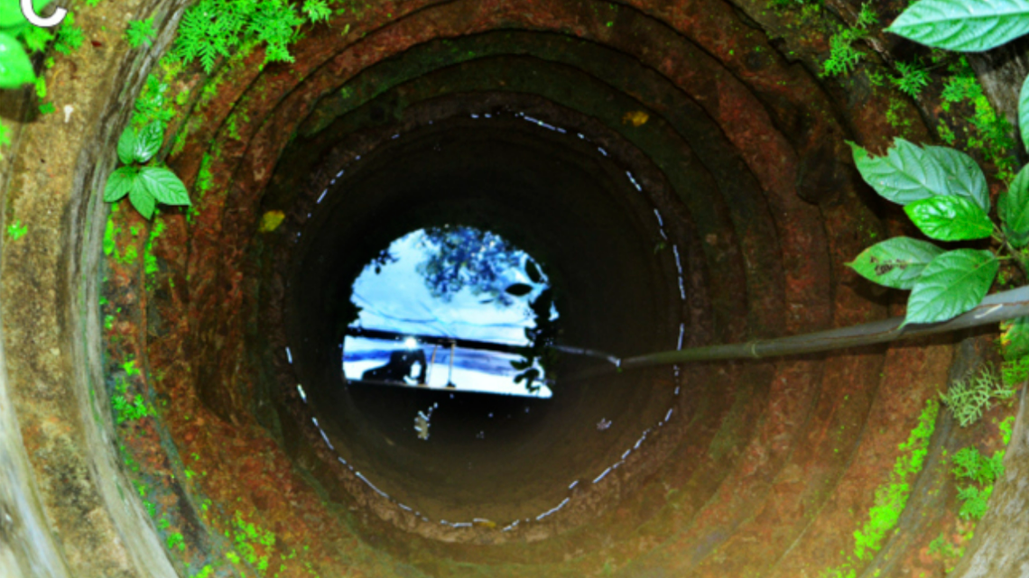 Scientists found “cryptic” & “bizarre” creatures living in underground aquifers, wells in Kerala & discovered new species, study said.