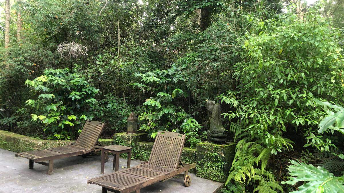 Patch of Heaven Sanctuary in Miami