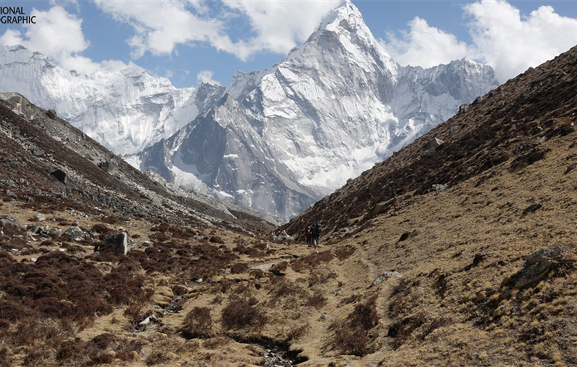 The area where researchers found evidence of the cat species.