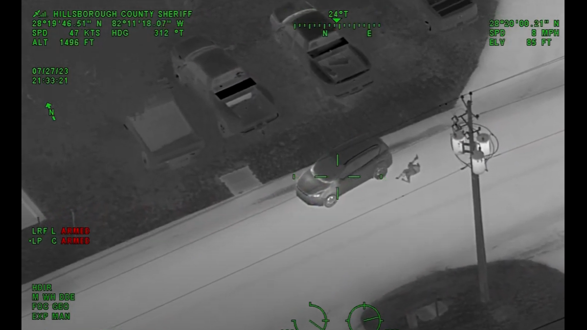 Video released by the Hillsborough County Sheriff’s Office shows the driver drove away when the suspect got out of the back seat and tried to get behind the wheel of the van.