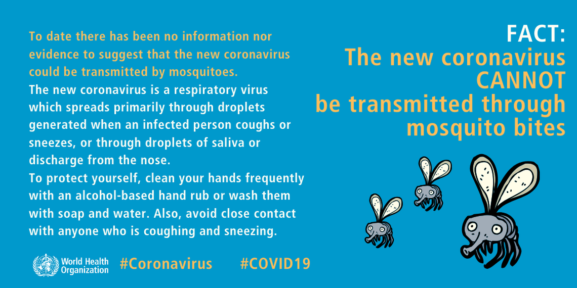 The World Health Organization busts the myth that mosquitoes spread COVID-19.