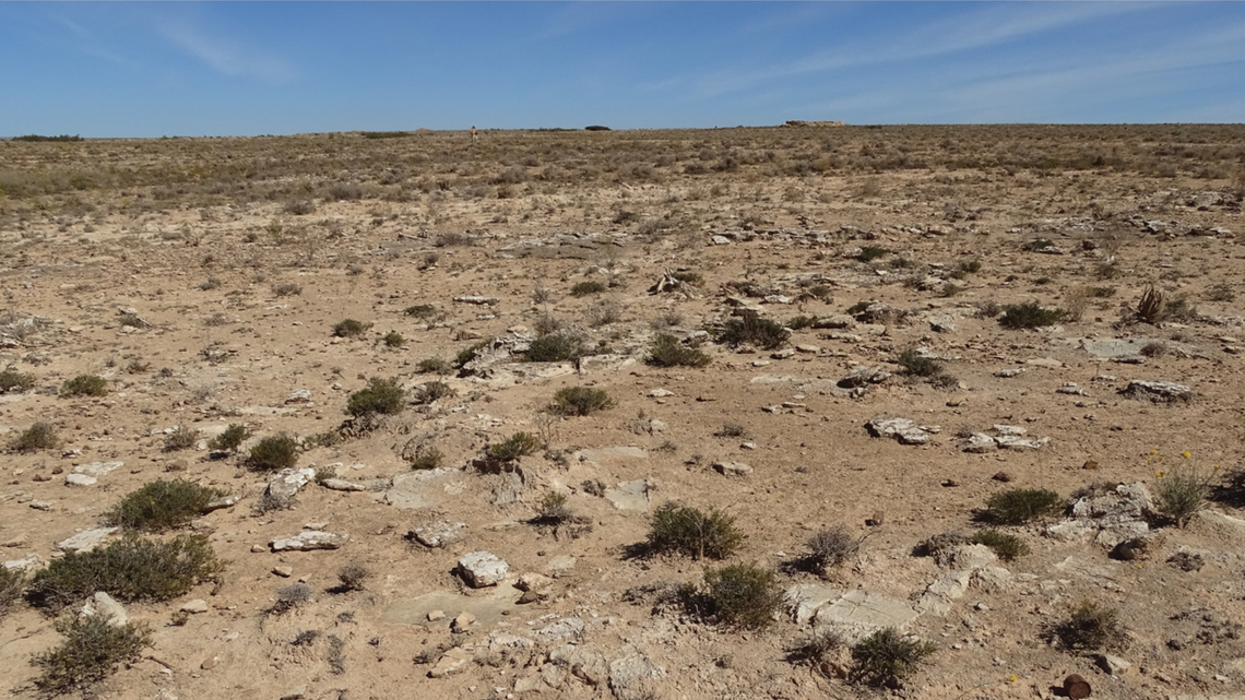 Scientists found a “friendly” animal of folklore in the desert of Somalia and discovered a new species of reptile, the study said.