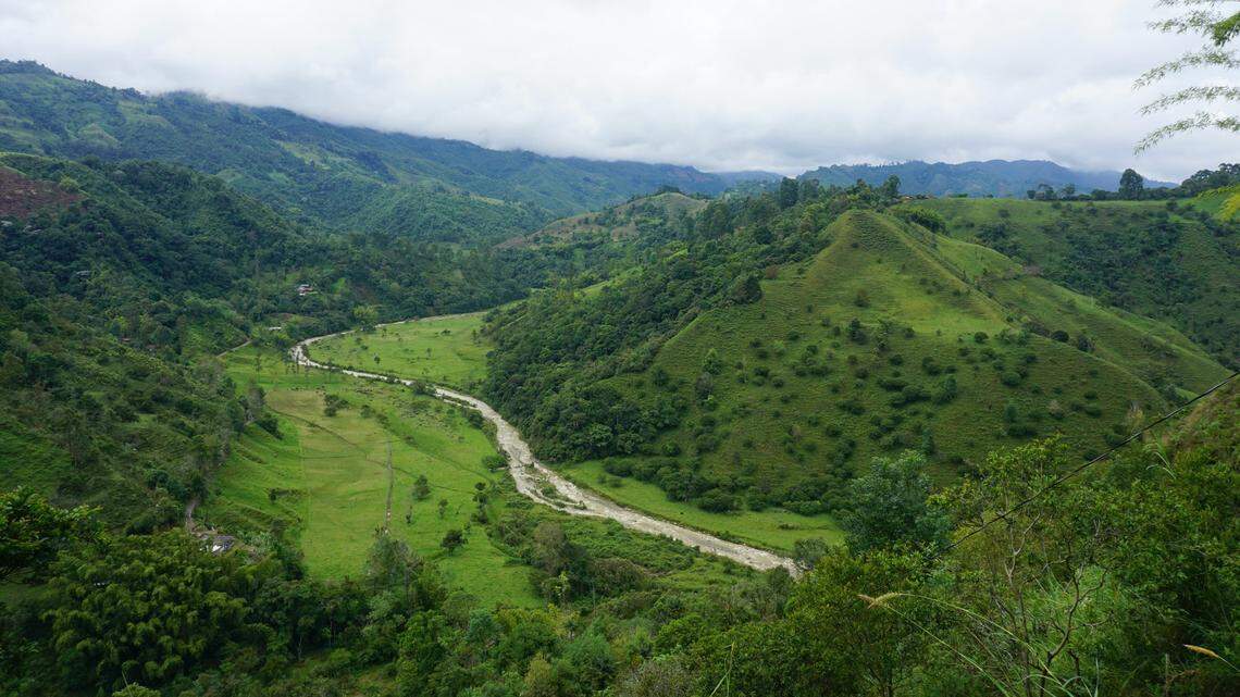 An unidentified ticking sound led scientists to discover a new animal species in Colombia. Photos show representative area of Quindío.