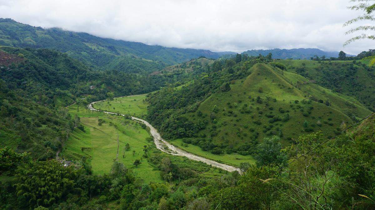An unidentified ticking sound led scientists to discover a new animal species in Colombia. Photos show representative area of Quindío.