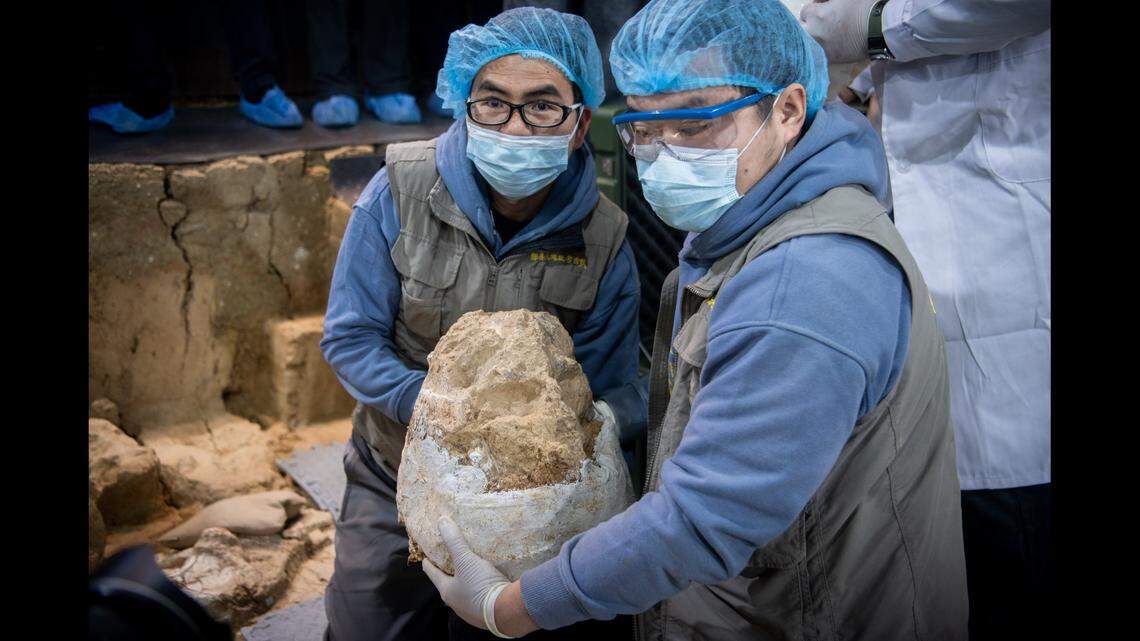 Archaeologists left several inches of sediment around the skull when it was excavated.
