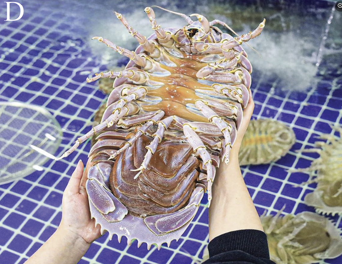 The massive sea creatures quickly became a delicacy in Vietnam and neighboring countries, researchers said.