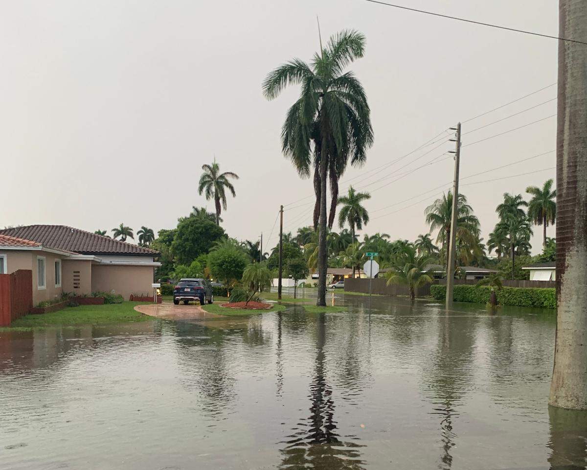Report of flooding issues submitted to Hollywood Connect.