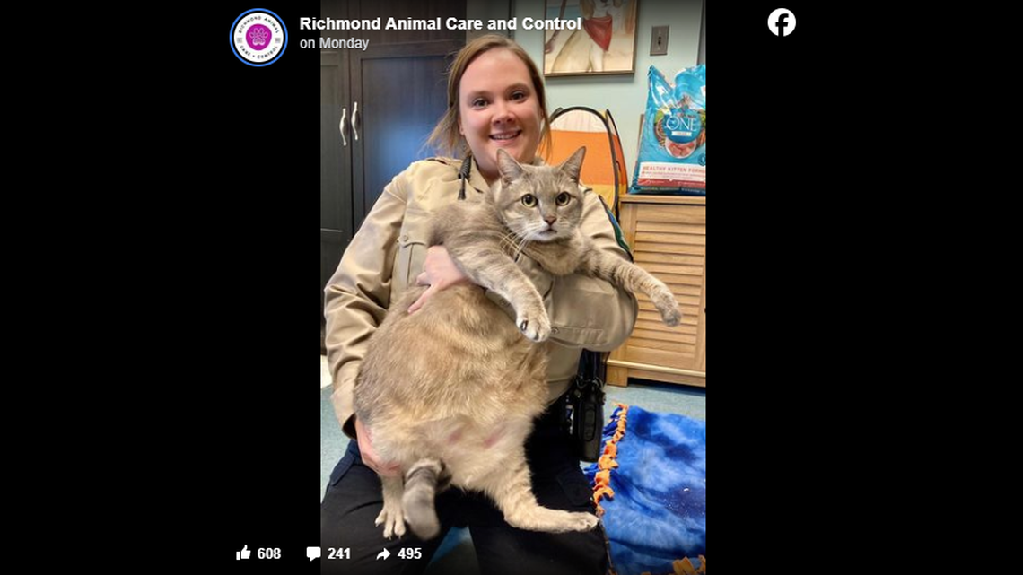 One Frosty Too Many is the latest rotund resident of the Richmond Animal Care and Control shelter.