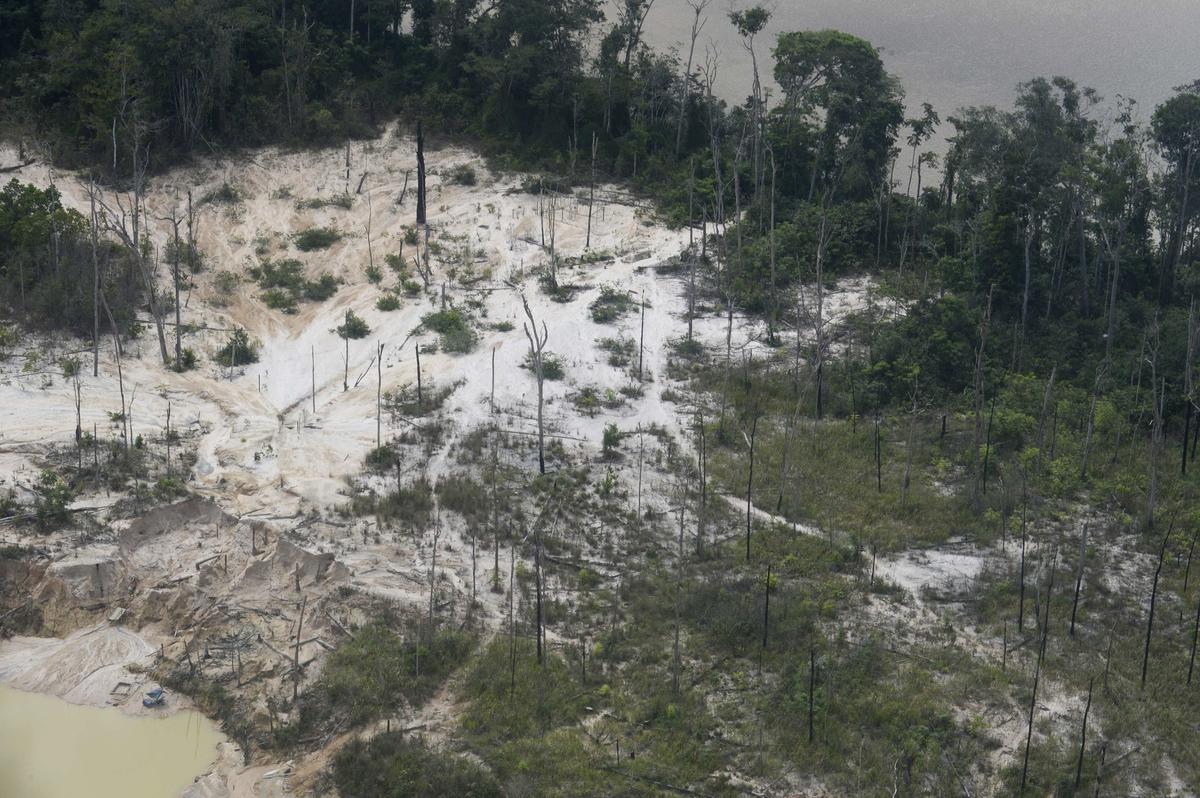 Vista aérea de una mina ilegal en el Parque Nacional Canaima, estado Bolívar, en el sureste de Venezuela. La insaciable demanda de oro, buena parte de ella en Estados Unidos, combinado con el colapso de la economía venezolana, ha generado una fiebre de oro sin precedentes, y minas ilegales como esta funcionan en muchas regiones del país. Miami es el puerto de entrada de buena parte de ese oro.
