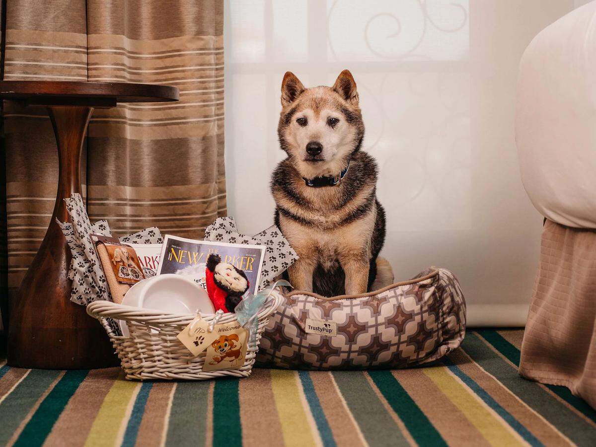 The Alfond Inn offers some sweet extras for your pup.