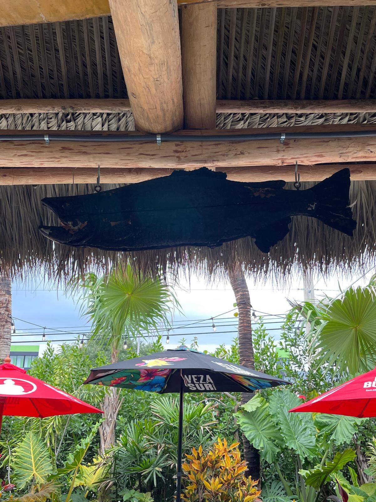 Golden Rule salvaged a taxidermy fish from the fire that destroyed their original tiki hut on July 4, 2022.