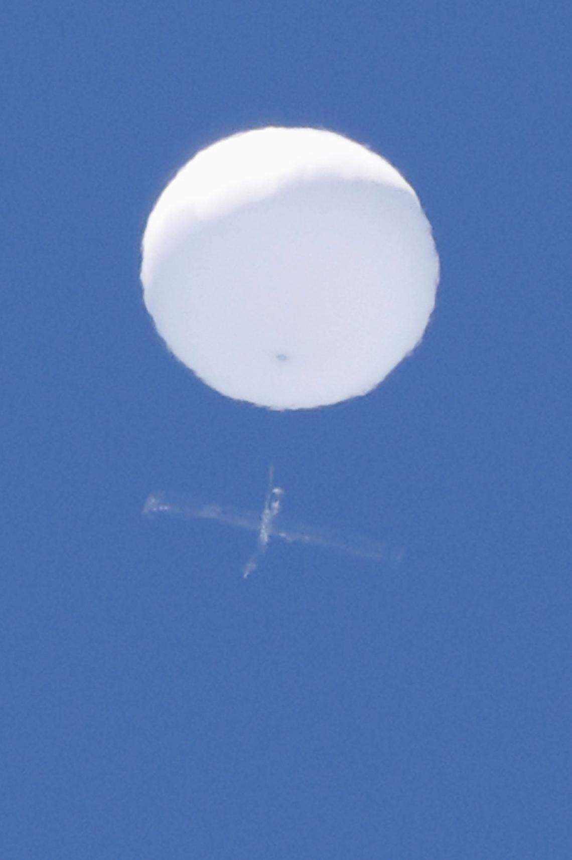 According to the Chinese government, this is a bat.