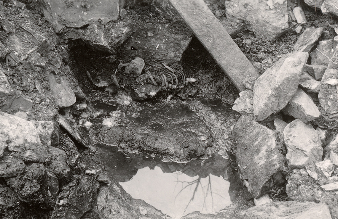 The body was first discovered during excavations at the castle in 1938, according to the study.