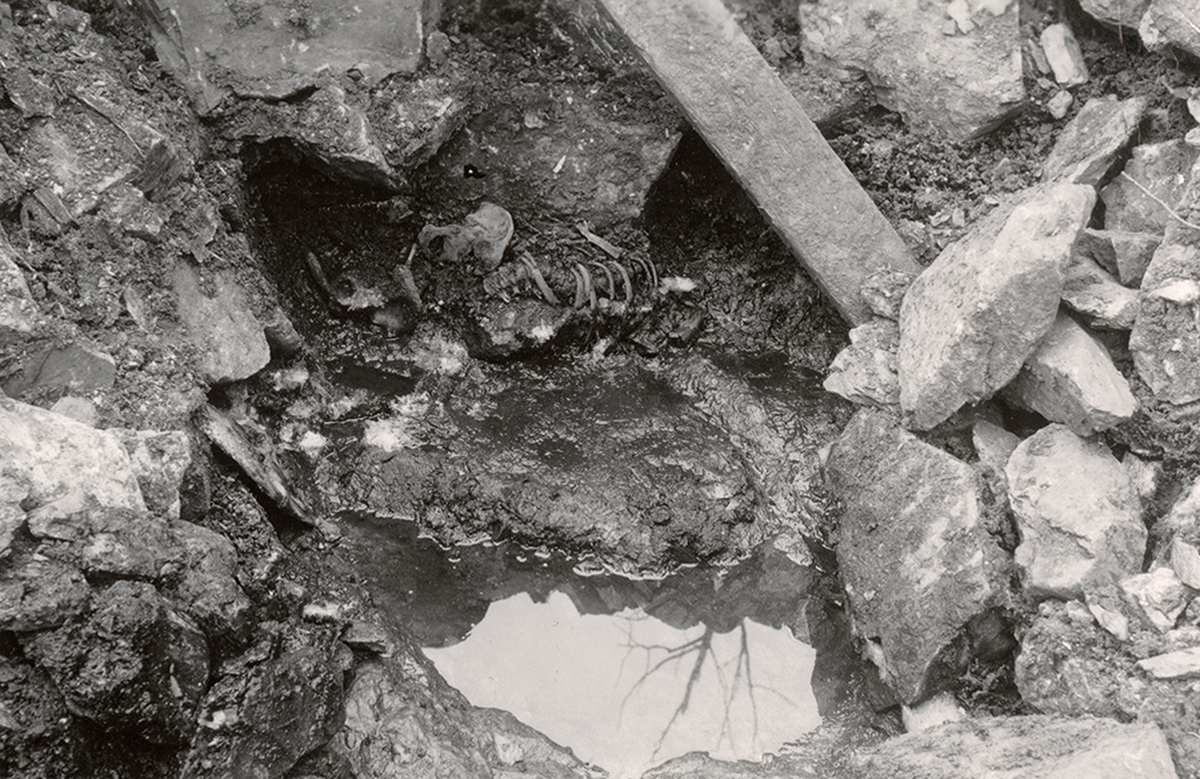 The body was first discovered during excavations at the castle in 1938, according to the study.