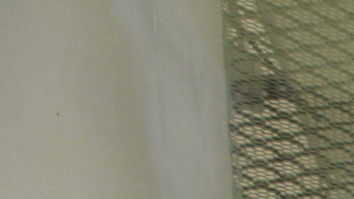 5281719