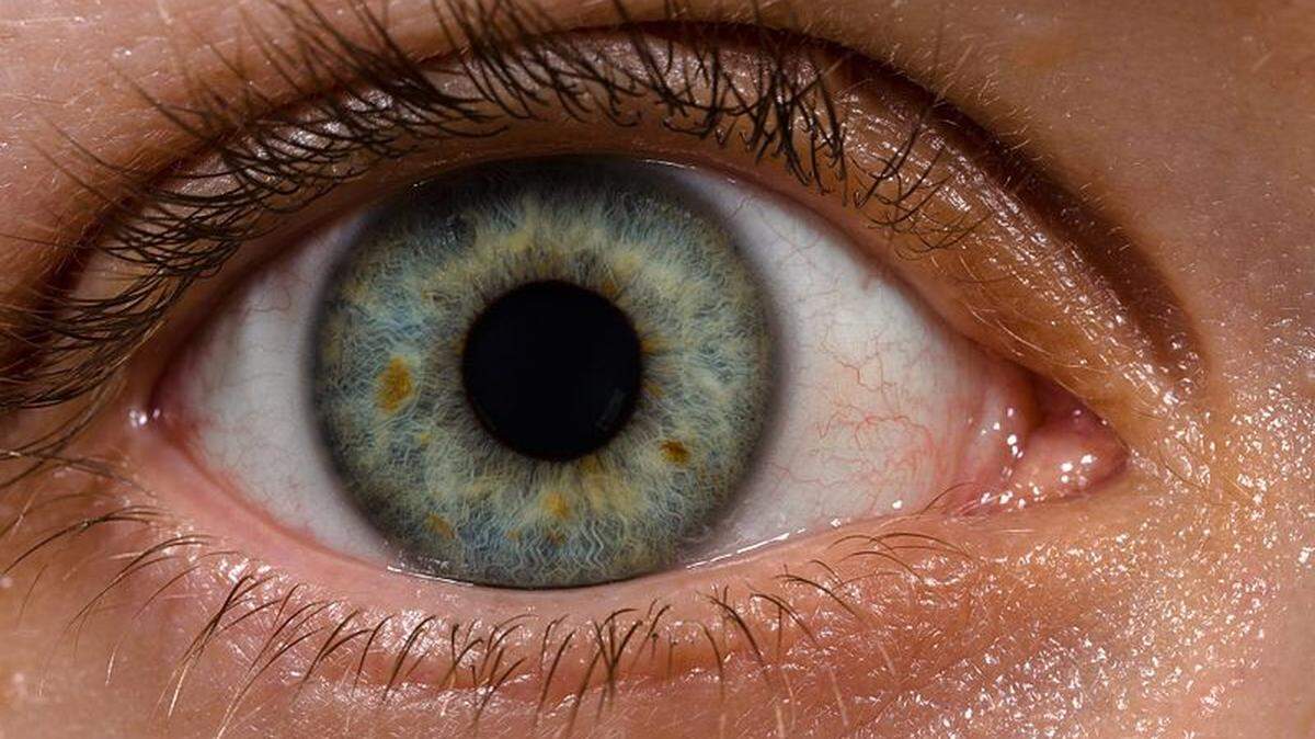 A study published in the journal Frontiers in Human Neuroscience found that technology that tracks a person’s eye movements can predict if a person is agreeable, conscientious, extroverted or rhetoric.