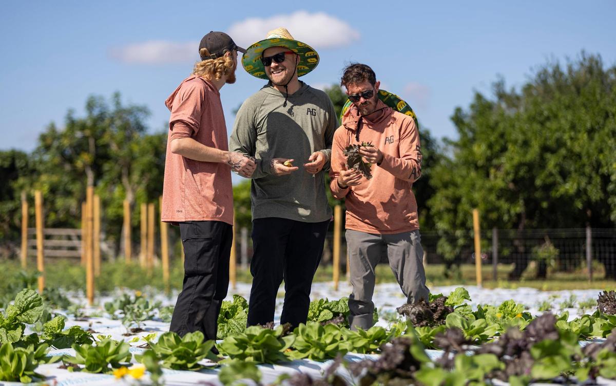 Austin Anderson, Jeremy Ford and Joe Mizzoni discuss some of the vegetables they are growing at Ford’s Farm in Redland.
