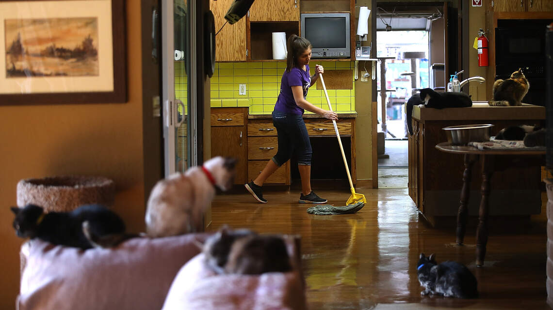 Did you know liquid laundry detergent can clean more than just your clothes?