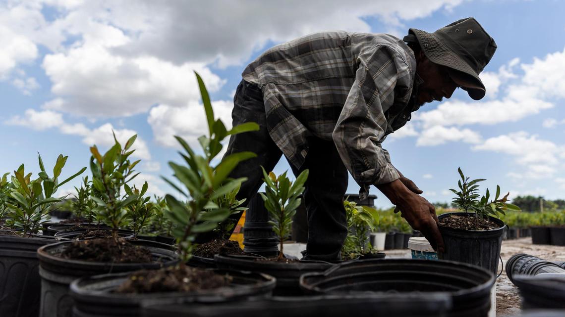 On the front lines of extreme heat in South Florida. ‘You feel like you’re suffocating.’
