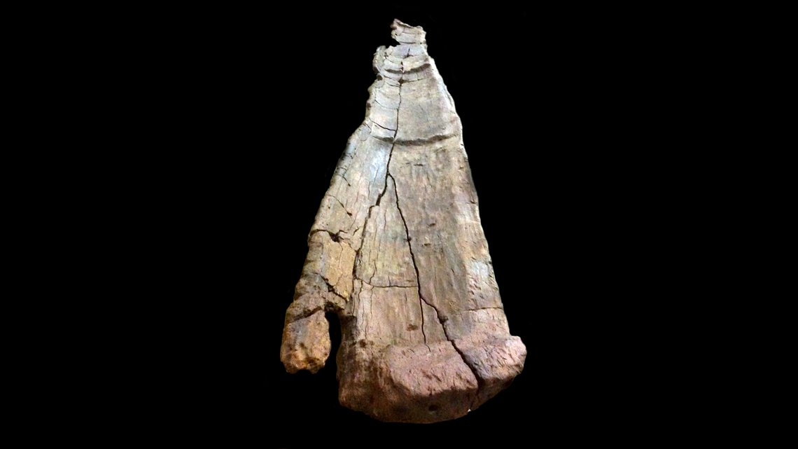 A third canoe was found with additional supports suggesting it was on land when the region flooded.