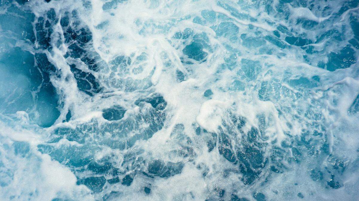 The anglers were about 100 miles offshore when they saw black fins stick out of the water, they said.