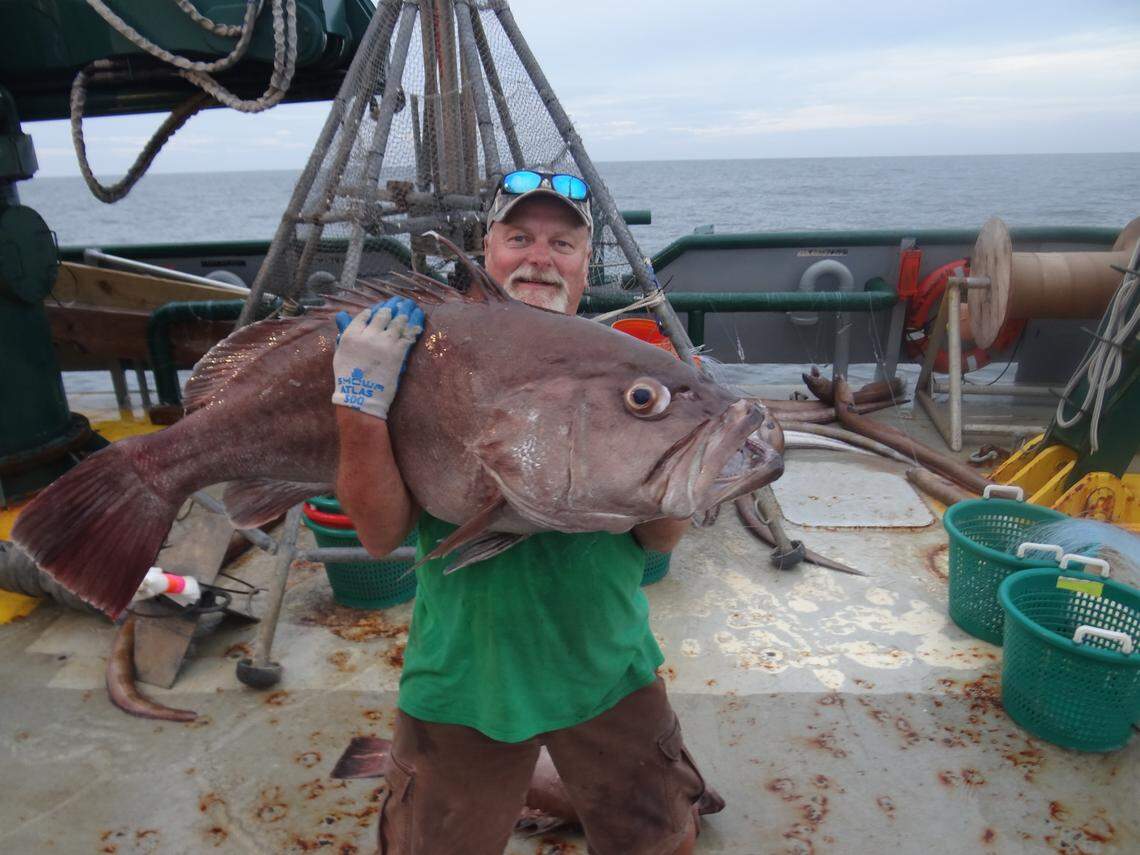 Marine scientist Steven Murawski, a Gulf researcher and former top NOAA scientist, said scientists lacked comprehensive research before Deepwater Horizon. “The oil companies thrive on the ambiguity of all this,” he said. “And without hard baseline data, they can make an ambiguous case.”