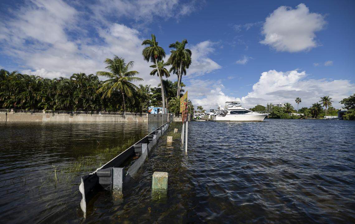 King tide creeps into Grove Park on the morning of Wednesday, Oct, 8, 2025, in Miami, Fla.