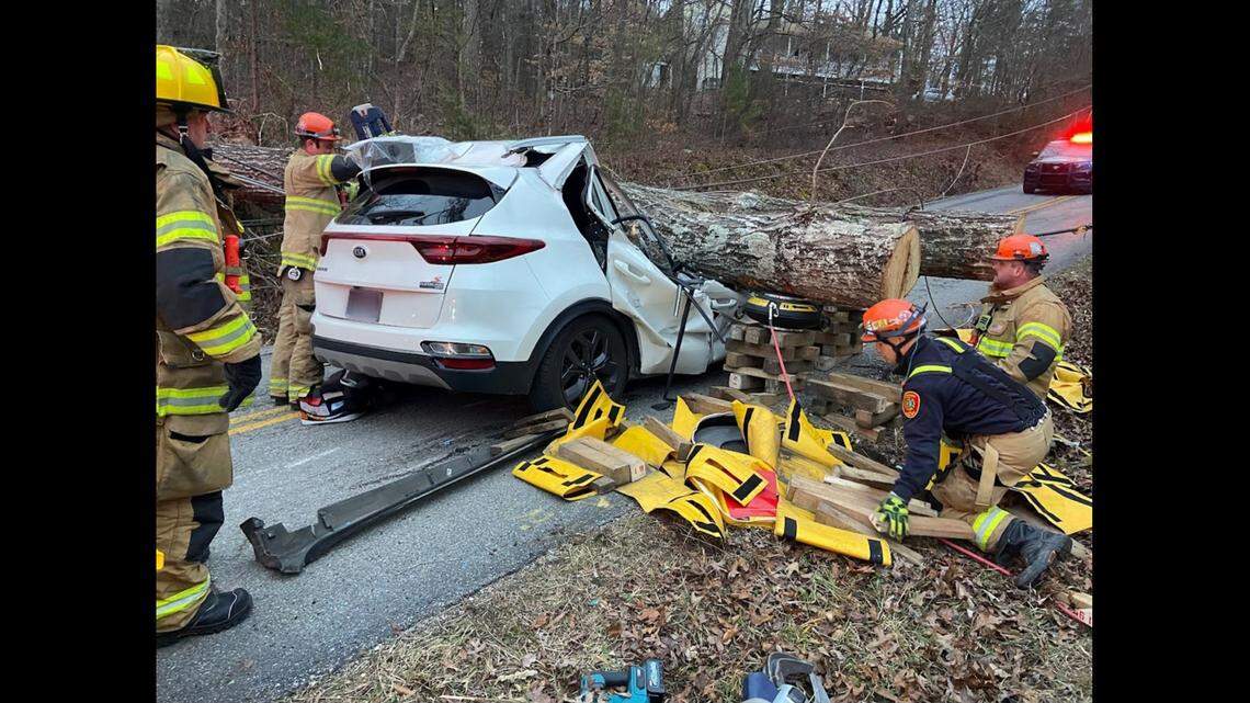 A large tree fell and crushed a Kia, and Tennessee firefighters discovered a woman and child survived the impact.