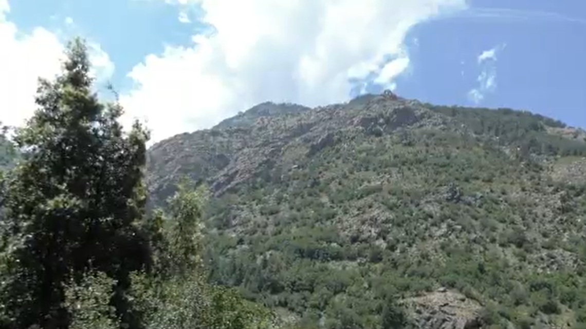 DNA analysis of a once-mythological creature in Corsica discovered the animal was a new animal species, researchers said in a study.