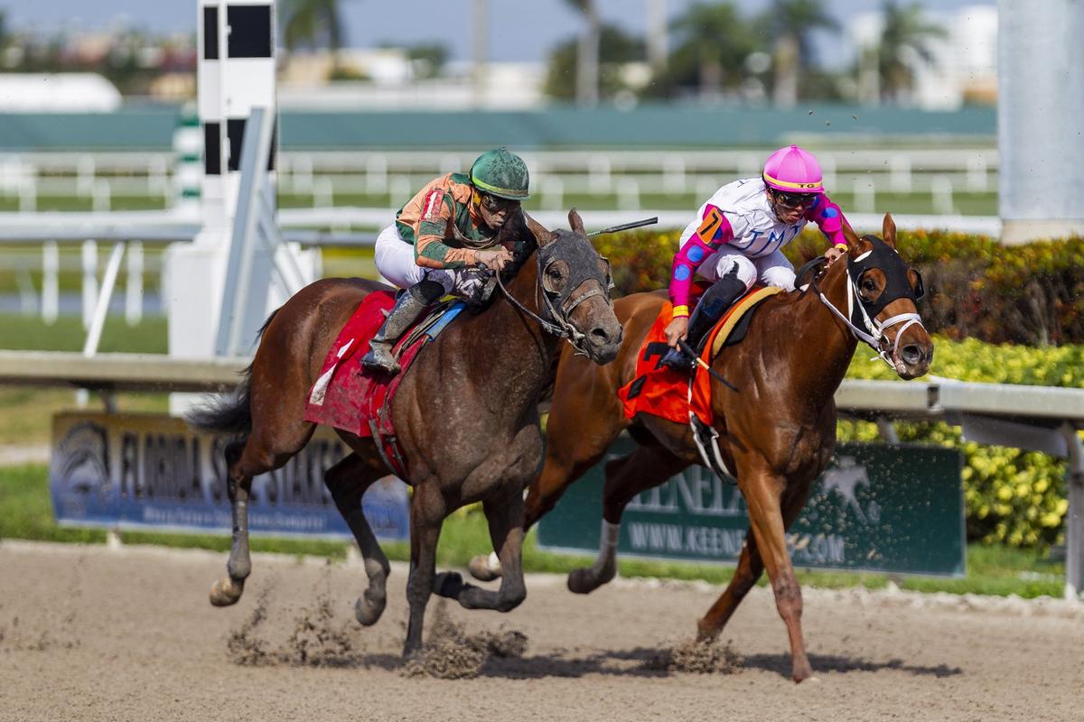 Irad Ortiz Jr. (1) competes in a horse race at Gulfstream Park in Hallandale Beach, Florida, on Wednesday, Jan. 9, 2019. Ortiz and his brother Jose are regarded as two of the best jockeys in the nation.