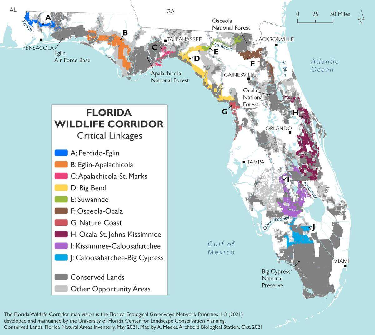 The vast expanse of wild lands between Central and South Florida was given a second chance for conservation when, in the heart of it, the Destiny development was reincarnated as DeLuca Preserve. This map depicts the critical links between major conservation lands, all part of an effort to create wildlife corridors from the Everglades to the far west Panhandle. The map is a vision from the Florida Wildlife Corridor, Florida Ecological Greenways Network, UF Center for Landscape Conservation Planning and Florida Natural Areas Inventory.