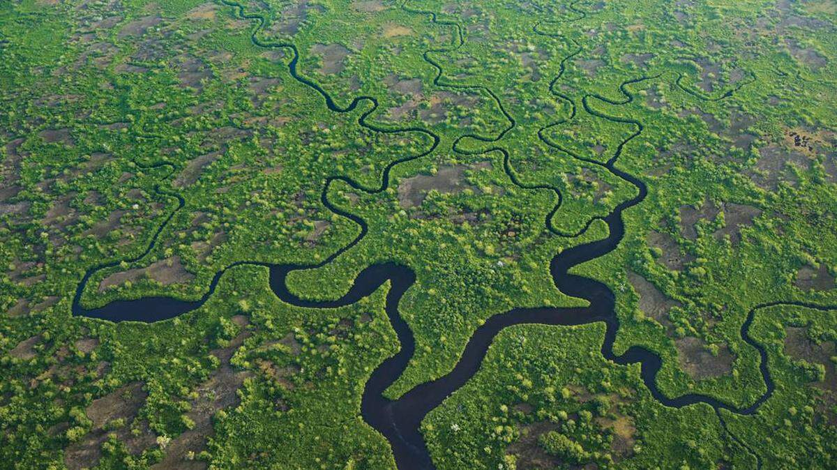 The Florida Legislature passed a record $682 million this year to protect Florida’s water resources and restore the Everglades.