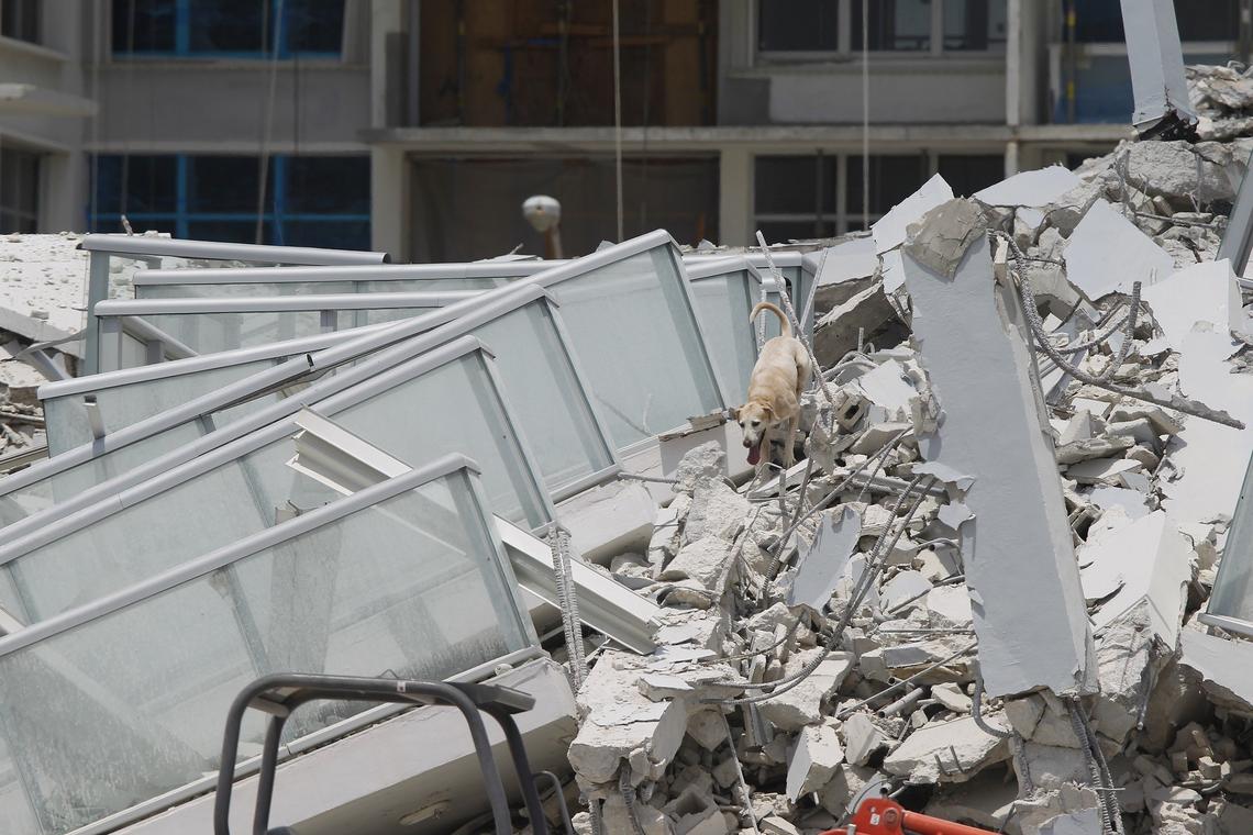 Search and rescue dogs scoured the scene after the former Marlborough House condominium building in Miami Beach collapsed Monday morning, injuring one, according to Miami Beach police. Debris spread across Collins Avenue and caused the main north-south artery through Miami Beach to be shut down in both directions from 41st to 63rd streets.