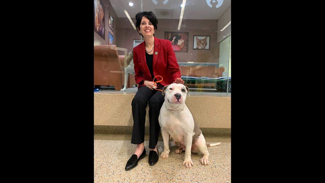 Bronwyn Stanford, who heads up Miami-Dade’s pet shelter. She joined Miami-Dade Animal Services after being a longtime administrator with the Florida Department of Children and Families.