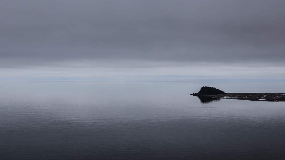 Boaters spotted four critically endangered North Atlantic right whales in the Bay of Fundy in Canada.
