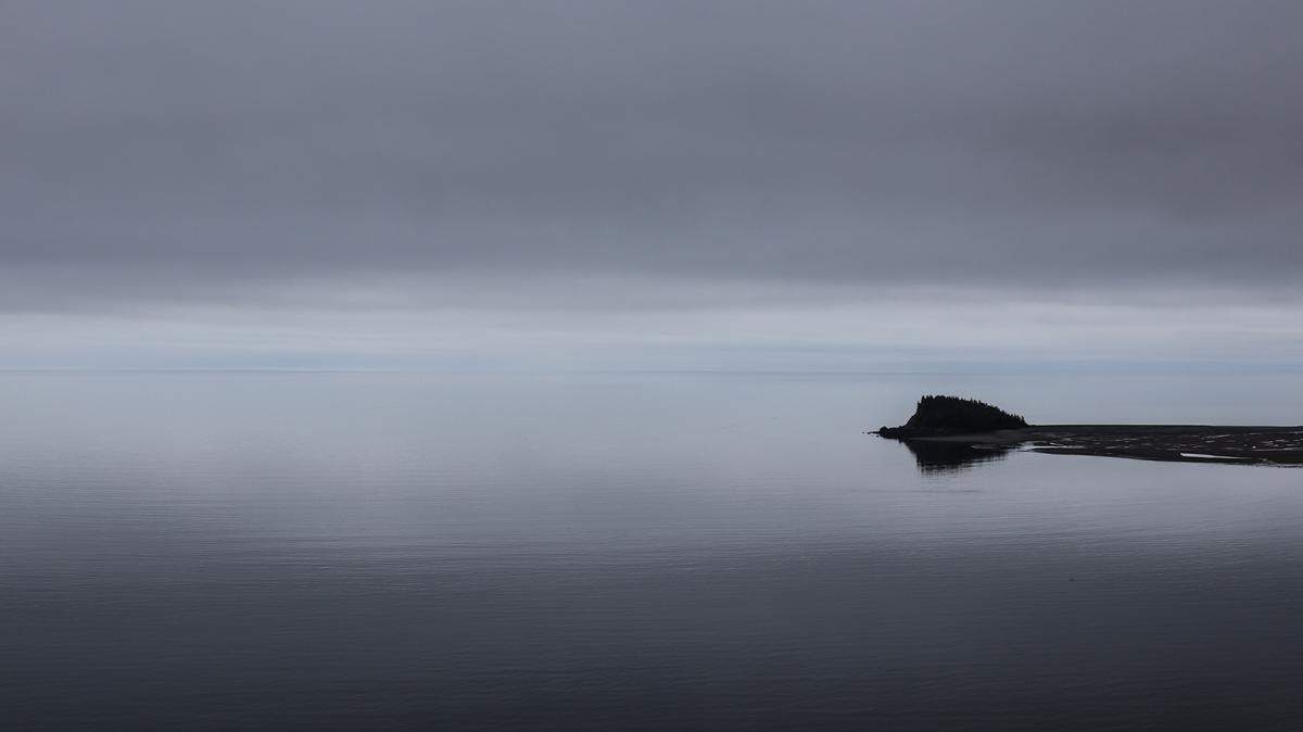 Boaters spotted four critically endangered North Atlantic right whales in the Bay of Fundy in Canada.