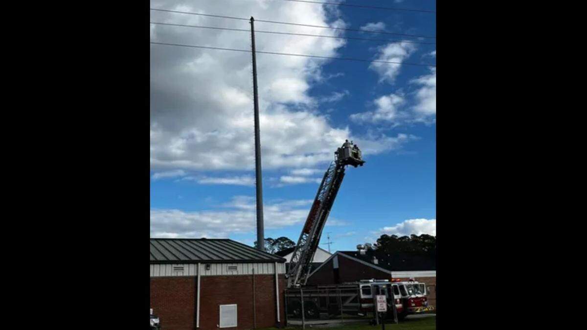 An eagle was impaled by a lightning rod on top of a radio tower at a Florida elementary school/MacClenny Fire Rescue Department