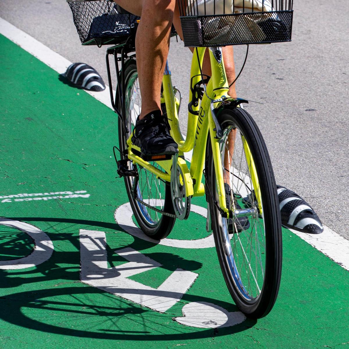 Newly installed “armadillo” separators along the Venetian Causeway’s heavily used bike lanes are meant to protect cyclists from motorized traffic, but some riders have crashed after hitting the devices. Critics say the armadillos are hazardous because they make it difficult to safely pass slower users or avoid debris and other obstacles within the causeway’s narrow bike lanes.
