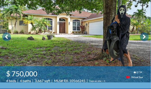 South Florida real estate agent Victoria Youngman did a “ghoulish” photoshoot to draw attention to the home for sale at 12661 157 Street North in Jupiter.