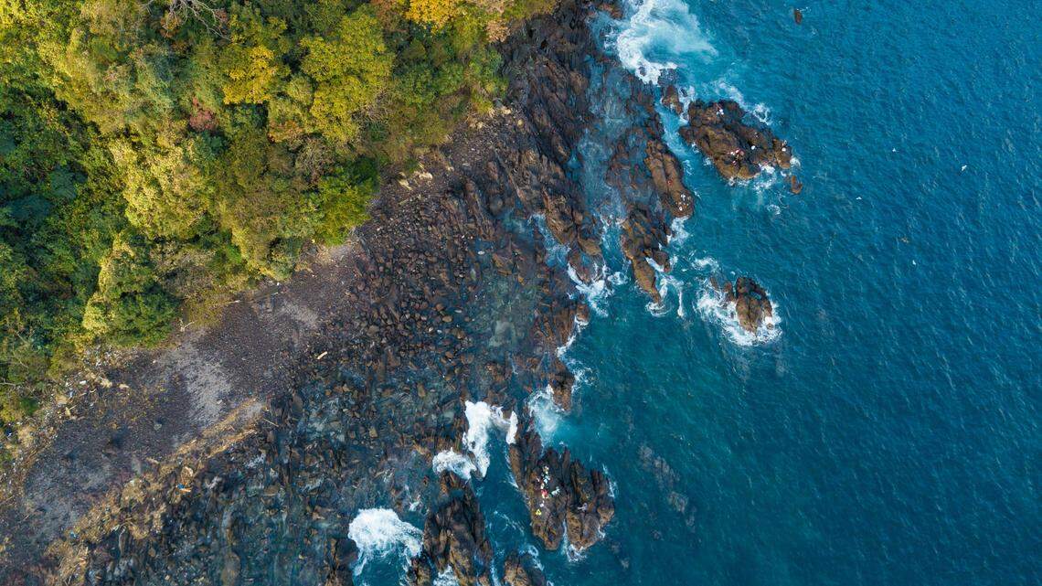 Off the eastern coast of Japan, a small “soft” fish swims in the depths.