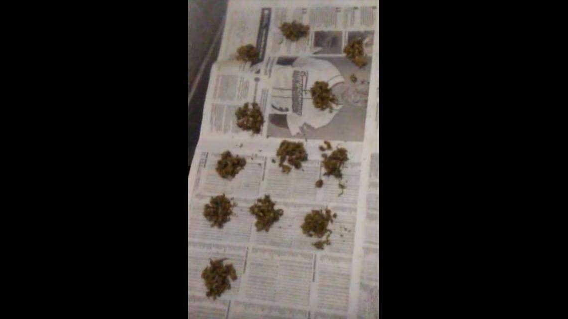 Pot is plentiful inside Martin Correctional Institution, as demonstrated by this array.