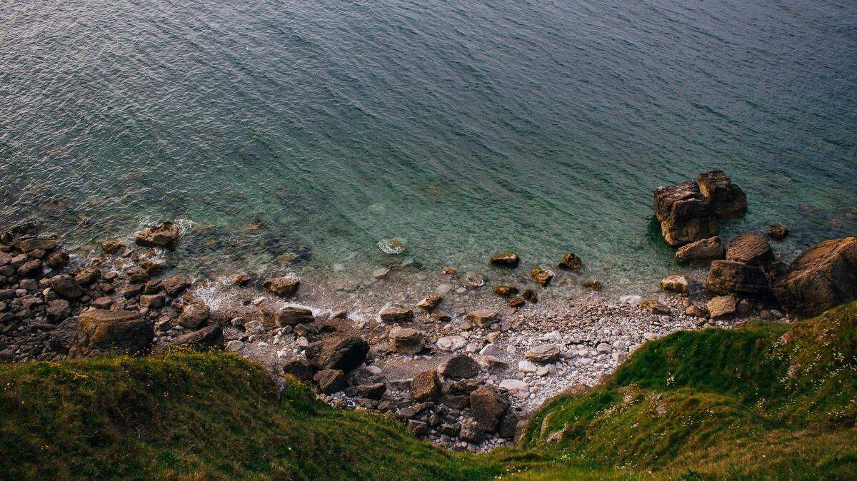 A “rare” sea slug was discovered in the U.K. for the first time, experts said.