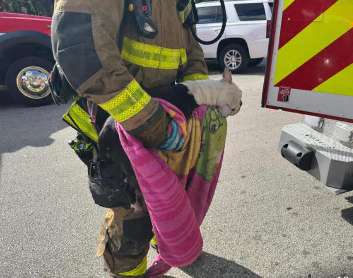 A Fort Lauderdale Fire Rescue firefighter carries a dog he rescued from a Melrose Park house fire Thursday morning, Feb. 6, 2025.