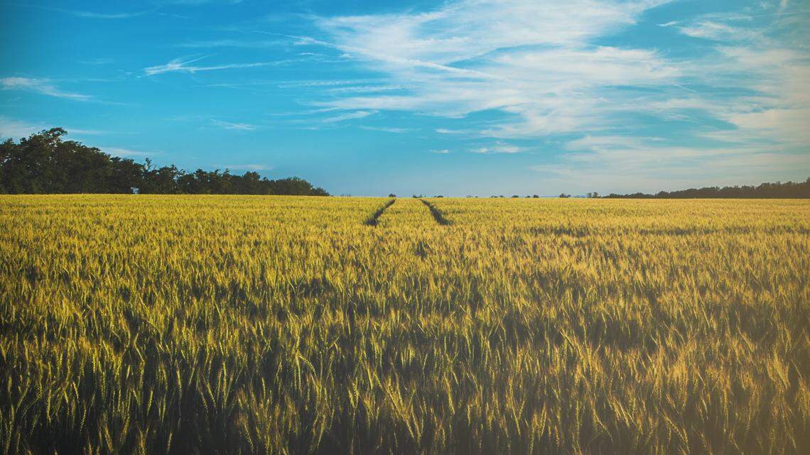 A man found two ancient weapons after plowing his field in Poland, according to officials.