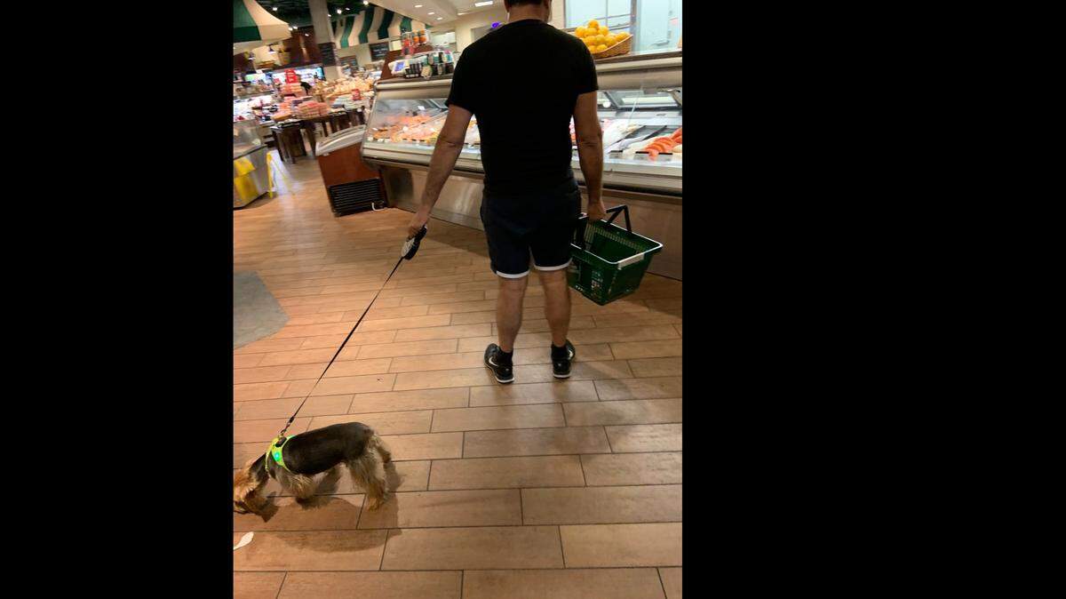 A dog in The Fresh Market in Miami Beach, a common violation in this Fresh Market location.