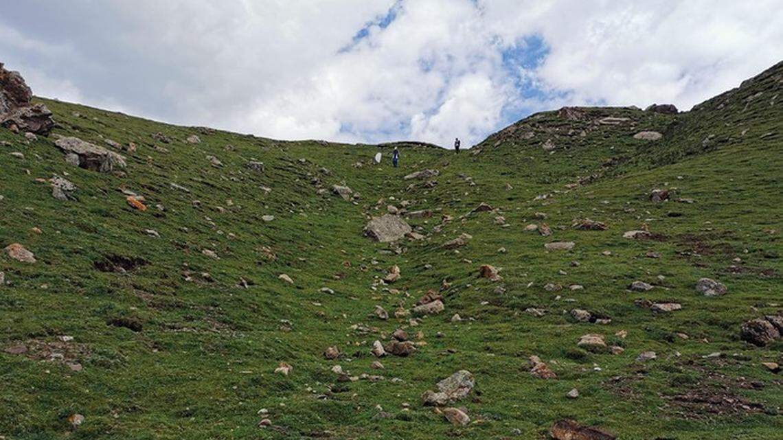 A new species of “mesh-web spider” was discovered in China, researchers said in a new study.